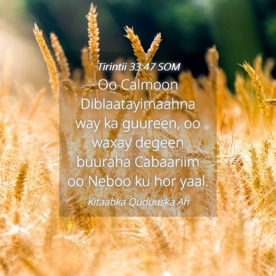 Picture 04 - Tirintii 33:47 SOM - Oo Calmoon Diblaatayimaahna way ka guureen, oo - Bible Verse Picture