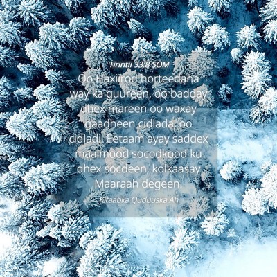 Picture 04 - Tirintii 33:8 SOM - Oo Haxiirod horteedana way ka guureen, oo badday - Bible Verse Picture