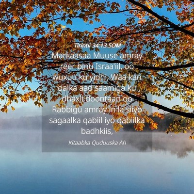Picture 04 - Tirintii 34:13 SOM - Markaasaa Muuse amray reer binu Israa'iil, oo - Bible Verse Picture