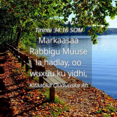 Picture 04 - Tirintii 34:16 SOM - Markaasaa Rabbigu Muuse la hadlay, oo wuxuu ku - Bible Verse Picture