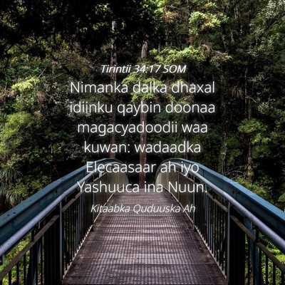 Picture 04 - Tirintii 34:17 SOM - Nimanka dalka dhaxal idiinku qaybin doonaa - Bible Verse Picture