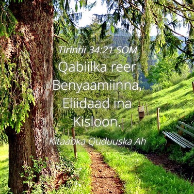 Picture 04 - Tirintii 34:21 SOM - Qabiilka reer Benyaamiinna, Eliidaad ina - Bible Verse Picture