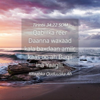 Picture 04 - Tirintii 34:22 SOM - Qabiilka reer Daanna waxaad kala baxdaan amiir, - Bible Verse Picture