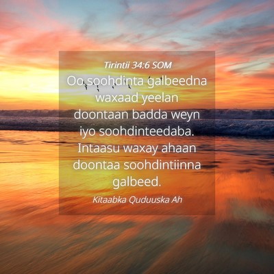 Picture 04 - Tirintii 34:6 SOM - Oo soohdinta galbeedna waxaad yeelan doontaan - Bible Verse Picture