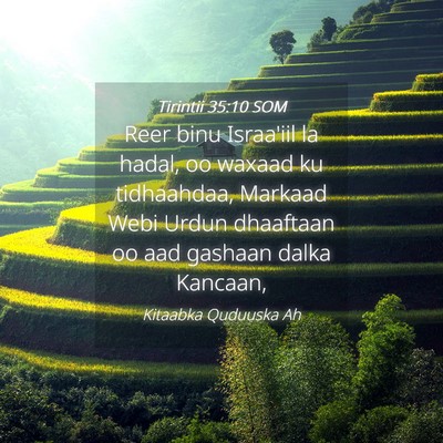 Picture 04 - Tirintii 35:10 SOM - Reer binu Israa'iil la hadal, oo waxaad ku - Bible Verse Picture