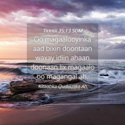 Picture 04 - Tirintii 35:13 SOM - Oo magaalooyinka aad bixin doontaan waxay idiin - Bible Verse Picture