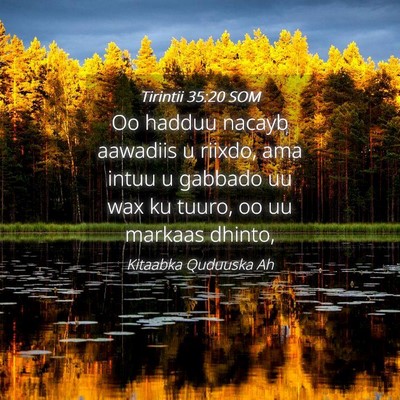 Picture 04 - Tirintii 35:20 SOM - Oo hadduu nacayb aawadiis u riixdo, ama intuu u - Bible Verse Picture