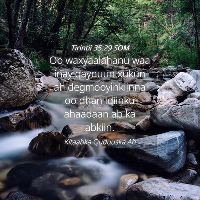 Picture 04 - Tirintii 35:29 SOM - Oo waxyaalahanu waa inay qaynuun xukun ah - Bible Verse Picture