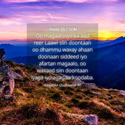 Picture 04 - Tirintii 35:7 SOM - Oo magaalooyinka aad reer Laawi siin doontaan oo - Bible Verse Picture