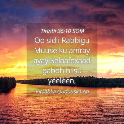 Picture 04 - Tirintii 36:10 SOM - Oo sidii Rabbigu Muuse ku amray ayay Selaafexaad - Bible Verse Picture
