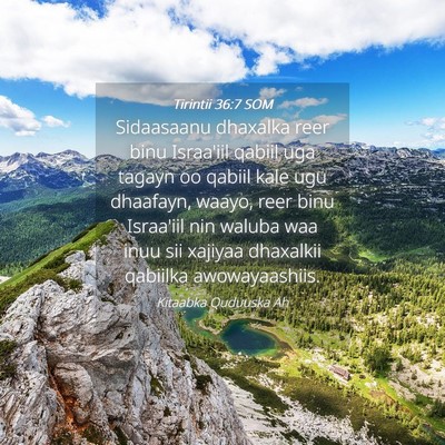 Picture 04 - Tirintii 36:7 SOM - Sidaasaanu dhaxalka reer binu Israa'iil qabiil - Bible Verse Picture