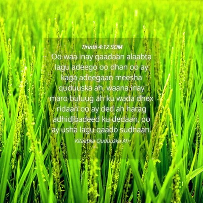 Picture 04 - Tirintii 4:12 SOM - Oo waa inay qaadaan alaabta lagu adeego oo dhan - Bible Verse Picture