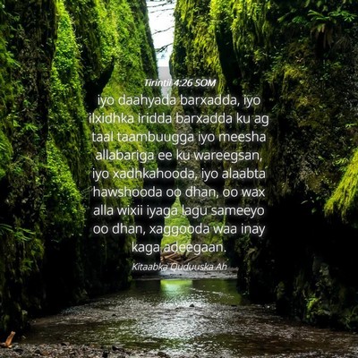 Picture 04 - Tirintii 4:26 SOM - iyo daahyada barxadda, iyo ilxidhka iridda - Bible Verse Picture