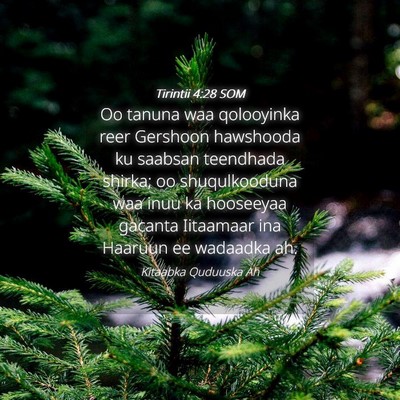 Picture 04 - Tirintii 4:28 SOM - Oo tanuna waa qolooyinka reer Gershoon hawshooda - Bible Verse Picture