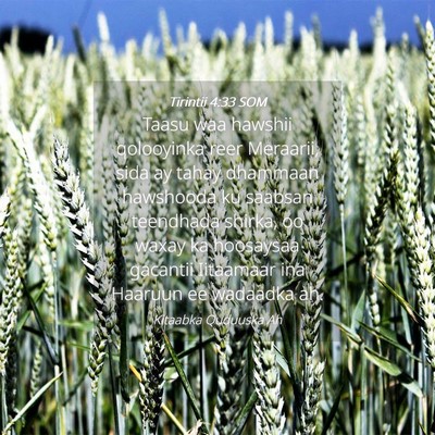 Picture 04 - Tirintii 4:33 SOM - Taasu waa hawshii qolooyinka reer Meraarii, sida - Bible Verse Picture