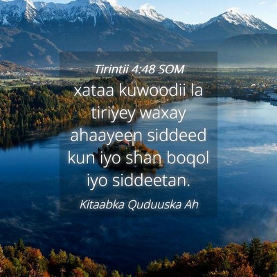 Picture 04 - Tirintii 4:48 SOM - xataa kuwoodii la tiriyey waxay ahaayeen siddeed - Bible Verse Picture
