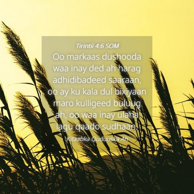 Picture 04 - Tirintii 4:6 SOM - Oo markaas dushooda waa inay ded ah harag - Bible Verse Picture