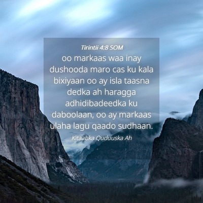 Picture 04 - Tirintii 4:8 SOM - oo markaas waa inay dushooda maro cas ku kala - Bible Verse Picture