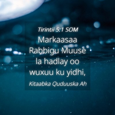 Picture 04 - Tirintii 5:1 SOM - Markaasaa Rabbigu Muuse la hadlay oo wuxuu ku - Bible Verse Picture