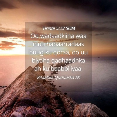 Picture 04 - Tirintii 5:23 SOM - Oo wadaadkiina waa inuu habaarradaas buug ku - Bible Verse Picture