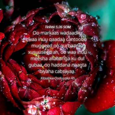 Picture 04 - Tirintii 5:26 SOM - Oo markaas wadaadku waa inuu qaadaa cantoobo - Bible Verse Picture
