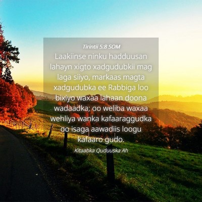 Picture 04 - Tirintii 5:8 SOM - Laakiinse ninku hadduusan lahayn xigto - Bible Verse Picture