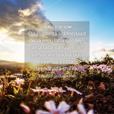 Picture 04 - Tirintii 6:10 SOM - Oo maalinta siddeedaad waa inuu laba qoolley ama - Bible Verse Picture
