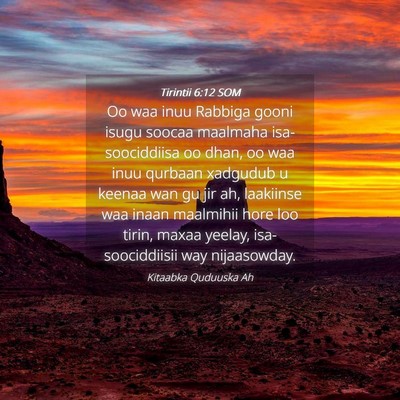 Picture 04 - Tirintii 6:12 SOM - Oo waa inuu Rabbiga gooni isugu soocaa maalmaha - Bible Verse Picture