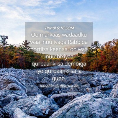 Picture 04 - Tirintii 6:16 SOM - Oo markaas wadaadku waa inuu iyaga Rabbiga - Bible Verse Picture