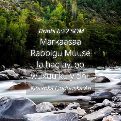 Picture 04 - Tirintii 6:22 SOM - Markaasaa Rabbigu Muuse la hadlay, oo wuxuu ku - Bible Verse Picture