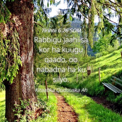 Picture 04 - Tirintii 6:26 SOM - Rabbigu jaahiisa kor ha kuugu qaado, oo nabadna - Bible Verse Picture