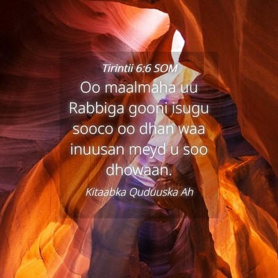 Picture 04 - Tirintii 6:6 SOM - Oo maalmaha uu Rabbiga gooni isugu sooco oo dhan - Bible Verse Picture