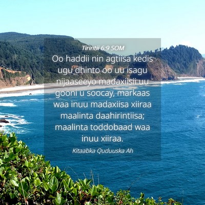 Picture 04 - Tirintii 6:9 SOM - Oo haddii nin agtiisa kedis ugu dhinto oo uu - Bible Verse Picture