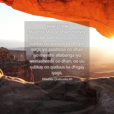 Picture 04 - Tirintii 7:1 SOM - Maalintii Muuse dhammeeyey dhisiddii taambuugga, - Bible Verse Picture