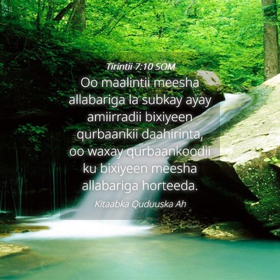 Picture 04 - Tirintii 7:10 SOM - Oo maalintii meesha allabariga la subkay ayay - Bible Verse Picture