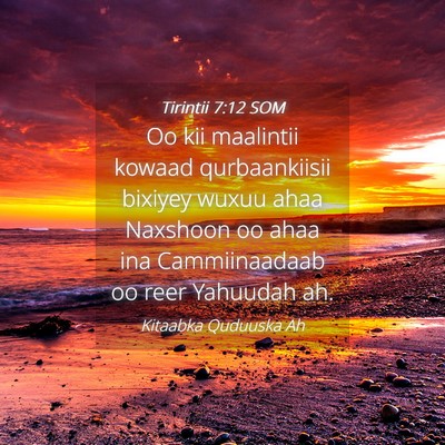 Picture 04 - Tirintii 7:12 SOM - Oo kii maalintii kowaad qurbaankiisii bixiyey - Bible Verse Picture