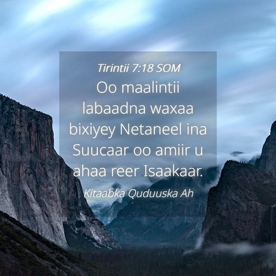 Picture 04 - Tirintii 7:18 SOM - Oo maalintii labaadna waxaa bixiyey Netaneel ina - Bible Verse Picture
