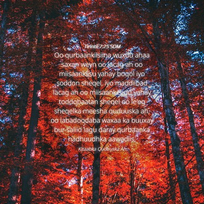 Picture 04 - Tirintii 7:25 SOM - Oo qurbaankiisiina wuxuu ahaa saxan weyn oo lacag - Bible Verse Picture