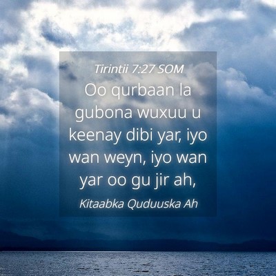 Picture 04 - Tirintii 7:27 SOM - Oo qurbaan la gubona wuxuu u keenay dibi yar, iyo - Bible Verse Picture