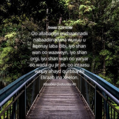 Picture 04 - Tirintii 7:29 SOM - Oo allabarigii qurbaannadii nabaadiinadana wuxuu - Bible Verse Picture