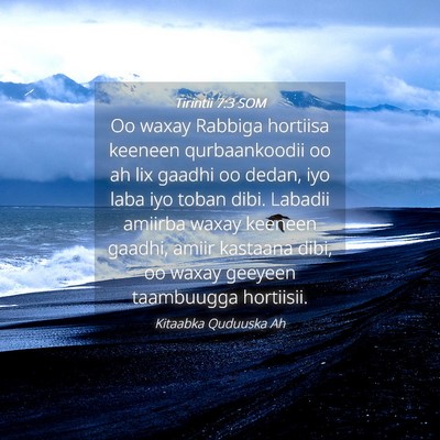 Picture 04 - Tirintii 7:3 SOM - Oo waxay Rabbiga hortiisa keeneen qurbaankoodii - Bible Verse Picture