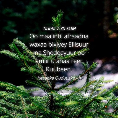 Picture 04 - Tirintii 7:30 SOM - Oo maalintii afraadna waxaa bixiyey Eliisuur ina - Bible Verse Picture