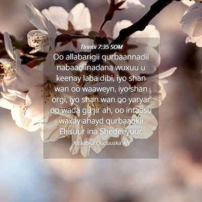 Picture 04 - Tirintii 7:35 SOM - Oo allabarigii qurbaannadii nabaadiinadana wuxuu - Bible Verse Picture