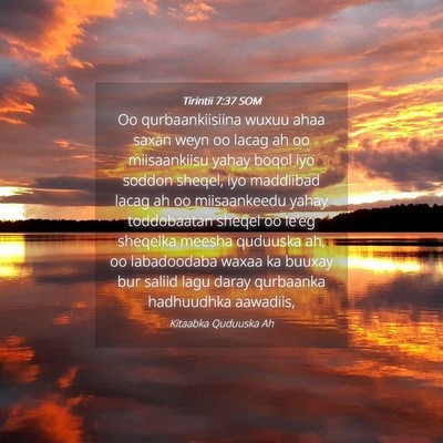 Picture 04 - Tirintii 7:37 SOM - Oo qurbaankiisiina wuxuu ahaa saxan weyn oo lacag - Bible Verse Picture