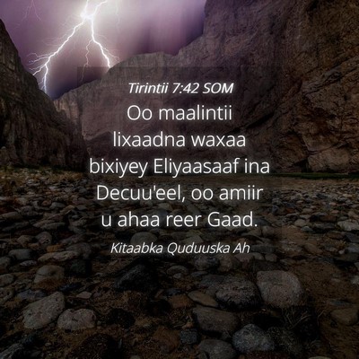 Picture 04 - Tirintii 7:42 SOM - Oo maalintii lixaadna waxaa bixiyey Eliyaasaaf - Bible Verse Picture