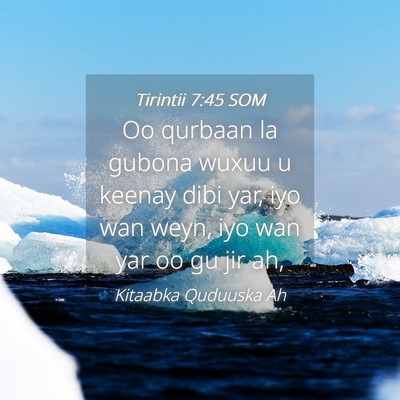 Picture 04 - Tirintii 7:45 SOM - Oo qurbaan la gubona wuxuu u keenay dibi yar, iyo - Bible Verse Picture
