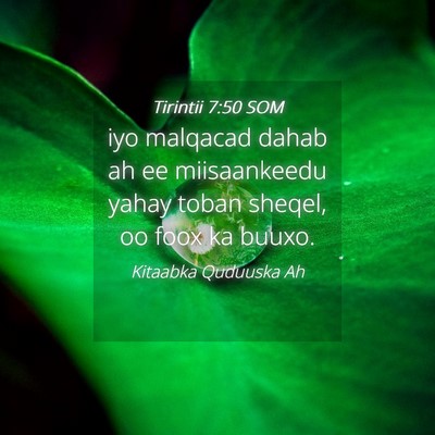 Picture 04 - Tirintii 7:50 SOM - iyo malqacad dahab ah ee miisaankeedu yahay toban - Bible Verse Picture