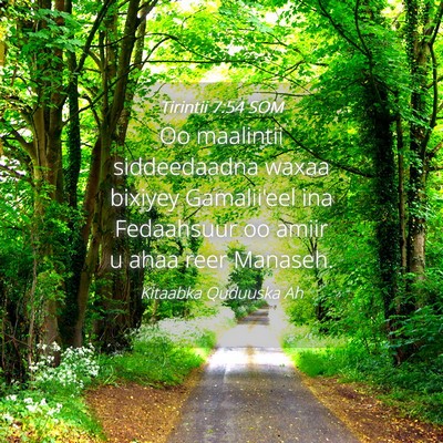 Picture 04 - Tirintii 7:54 SOM - Oo maalintii siddeedaadna waxaa bixiyey - Bible Verse Picture