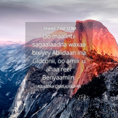 Picture 04 - Tirintii 7:60 SOM - Oo maalintii sagaalaadna waxaa bixiyey Abiidaan - Bible Verse Picture