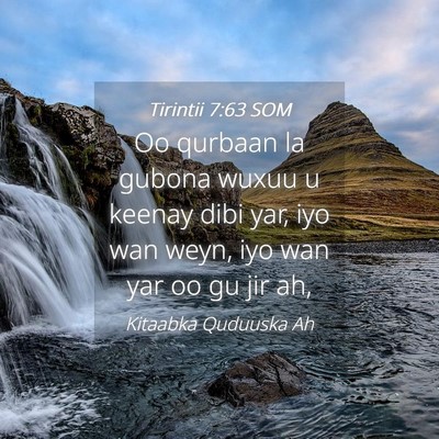 Picture 04 - Tirintii 7:63 SOM - Oo qurbaan la gubona wuxuu u keenay dibi yar, iyo - Bible Verse Picture